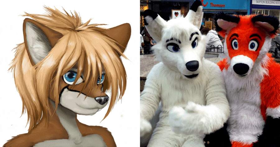 Am I A Furry?