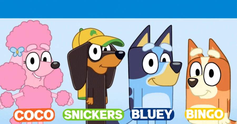 Which Bluey Character Am I?