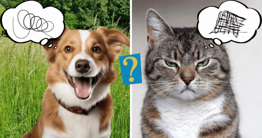 If Your Pet Could Talk, What Would It Say About You?